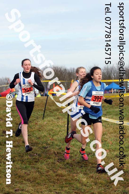 Girls under-15s North Eastern Cross Country, Aykley Heads, Durham. Photo: David T. Hewitson/Sports for All Pics